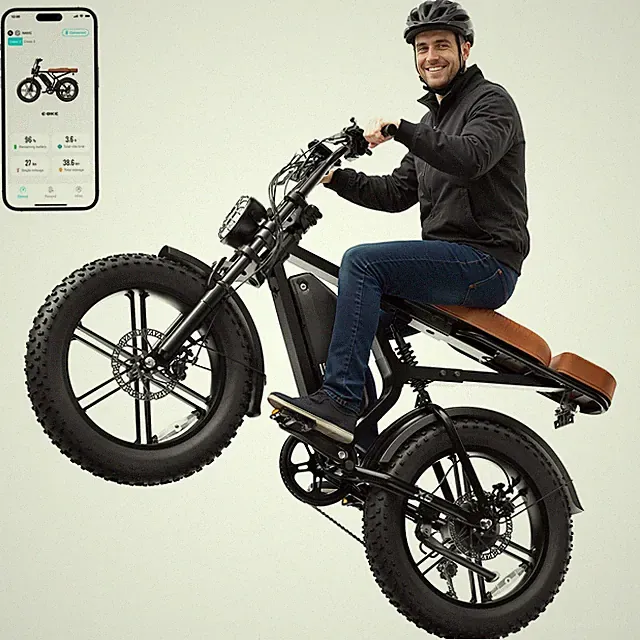 Electric Bike for Adults Peak 1500W 48V 15/30AH Removable Battery 32MPH E Bike